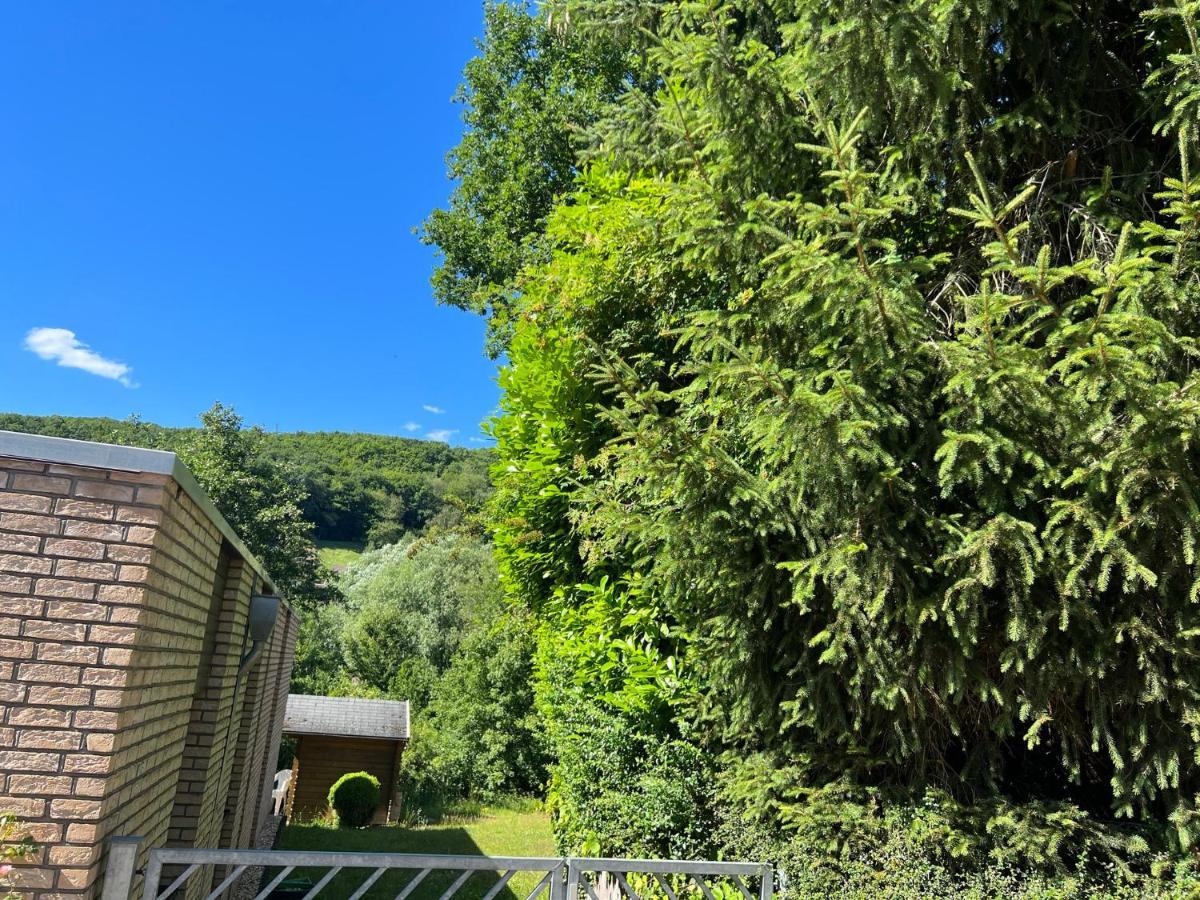 Gaestehaus Zum Buchenweg Hasenfeld المظهر الخارجي الصورة